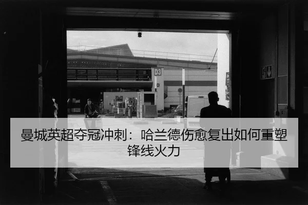 man-cheng-ying-chao-duo-guan-chong-ci-ha-lan-de-shang-yu-fu-chu-ru-he-zhong-su-feng-xian-huo-li-2-480.jpg