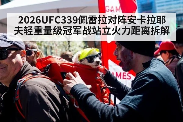 2026UFC339佩雷拉对阵安卡拉耶夫轻重量级冠军战站立火力距离拆解
